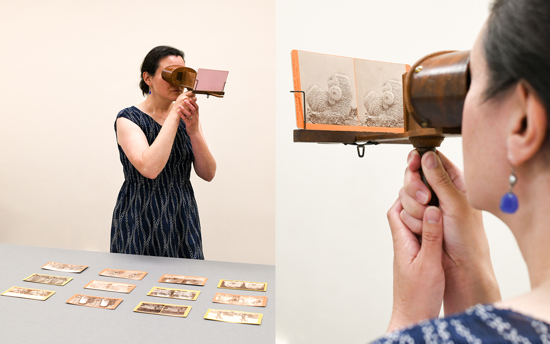 Two photographs of a person looking through a metal device—standing in front of a grid of photographs (left) and looking closely at a cactus photo.