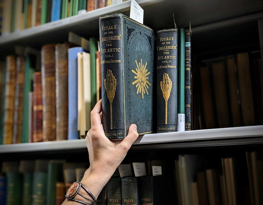 A hand reaches for a green, gold-gilded reference book on a library shelf.