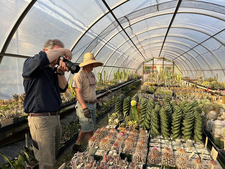 A person takes photos of illegally obtained plants inside a greenhouse, as another person observes.