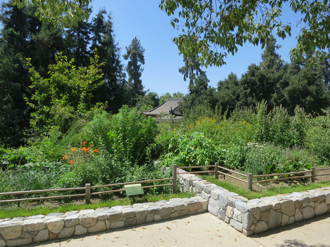 A Chinese-style garden with stone planter beds filled with green plants.