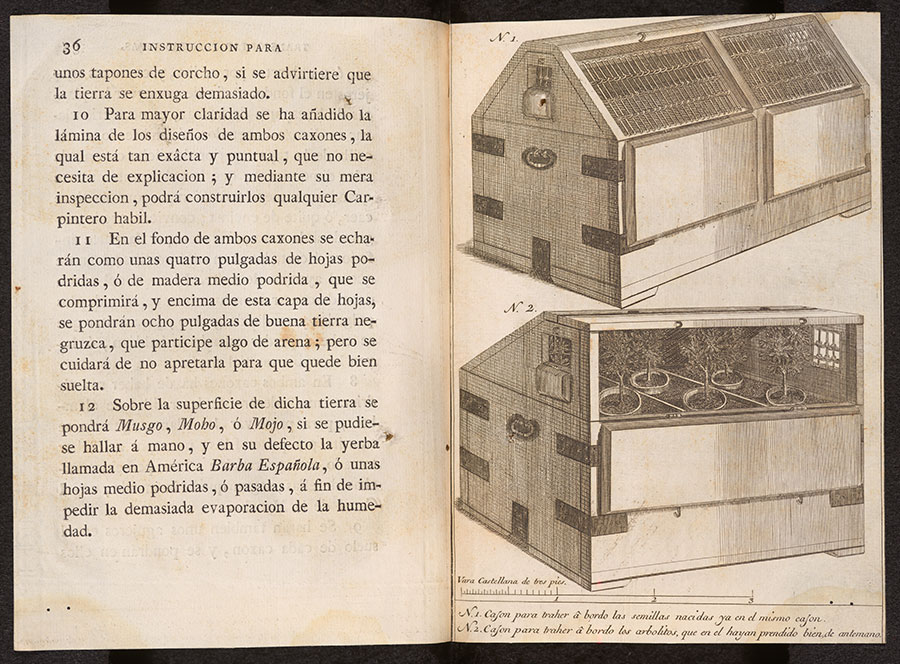 Un libro abierto con texto en español a la izquierda y dibujos a la derecha de cajas de transporte de plantas.