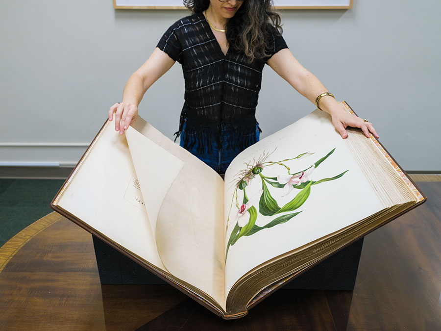 Una persona sostiene abierto un libro de gran tamaño con dibujos de orquídeas.