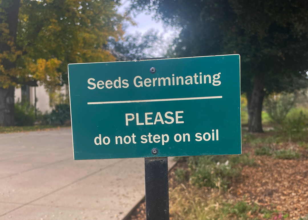 A sign near open soil that reads "Seeds Germinating, PLEASE do not step on soil".