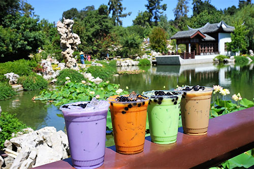 4 colorful boba milk teas sit on a wood railing in a Chinese Garden.