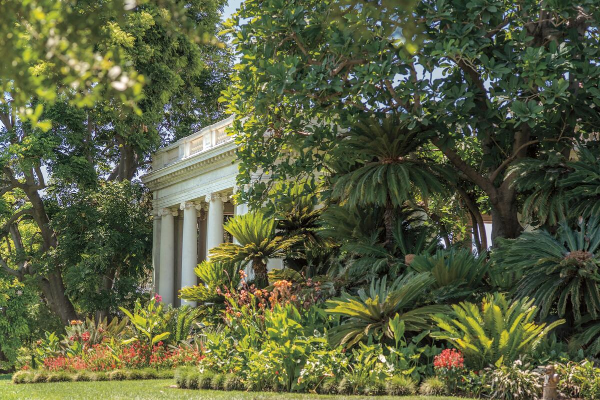 A dense, green garden filled with Cycads, Palms, and other tropical plants, with a section of a white building with columns protruding from the foliage.