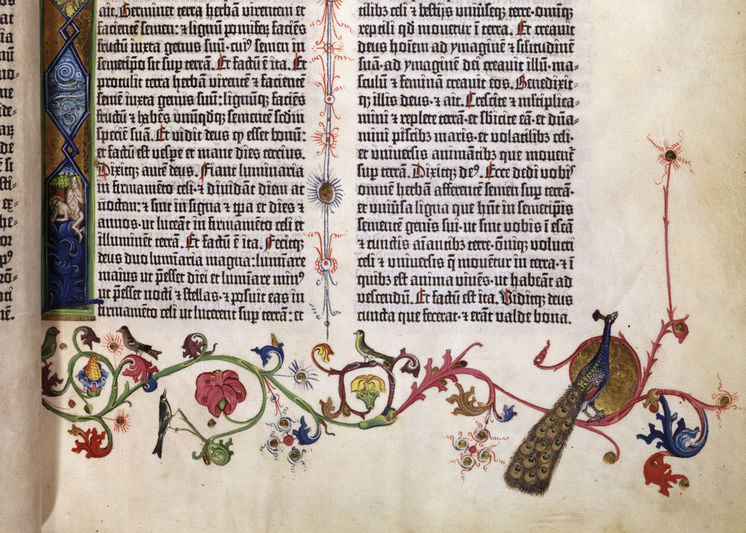 A detail view of an open book with columns of dense text and colorful illustrations.