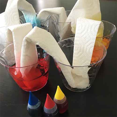 Paper towels inside cups of water with food dye