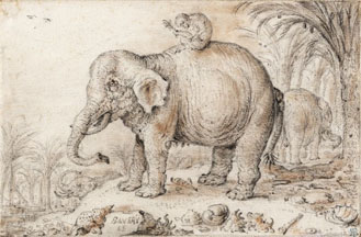 Elephant and Monkey Black chalk and brownish wash Crocker Art Museum, E. B. Crocker Collection; 1871.101