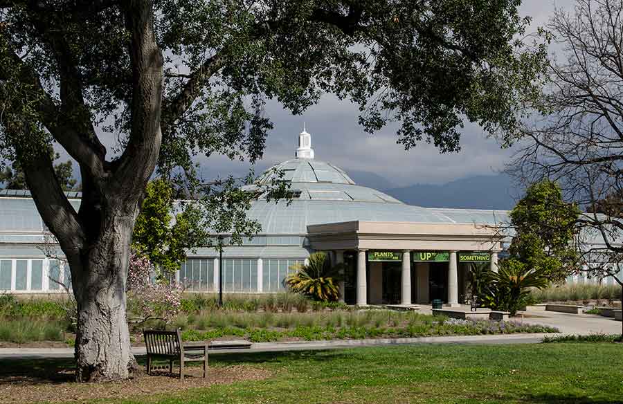 The Rose Hills Foundation Conservatory of Botanical Science was designed to replicate a conservatory building that once stood on Henry E. Huntington’s original estate. The Huntington Library, Art Museum, and Botanical Gardens.