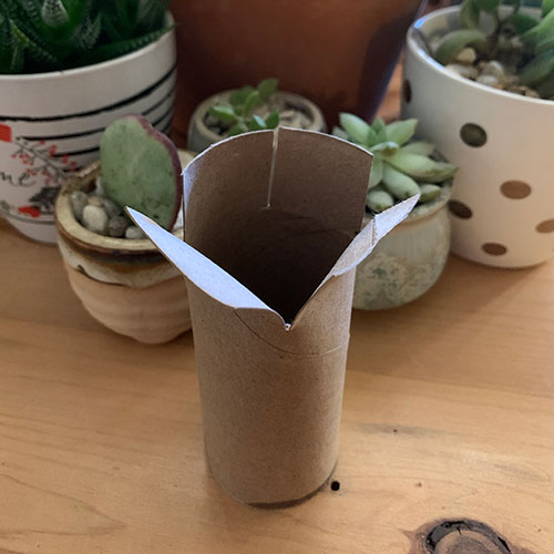 Make the perfect seed starting pots with toilet roll holders