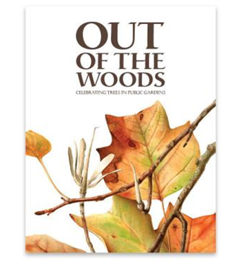 Out of the Woods catalog