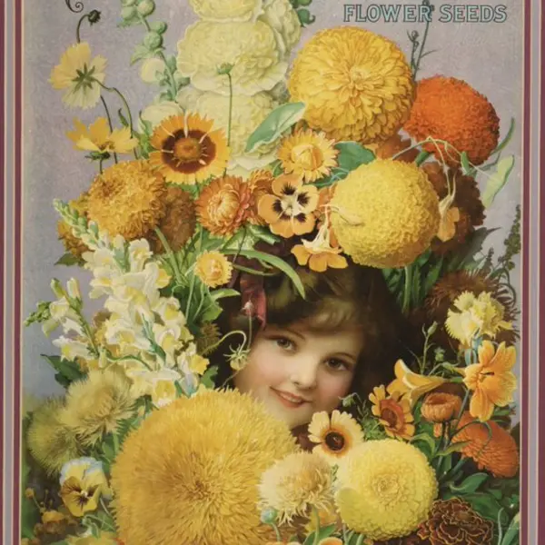 seed packet with flowers and young girl