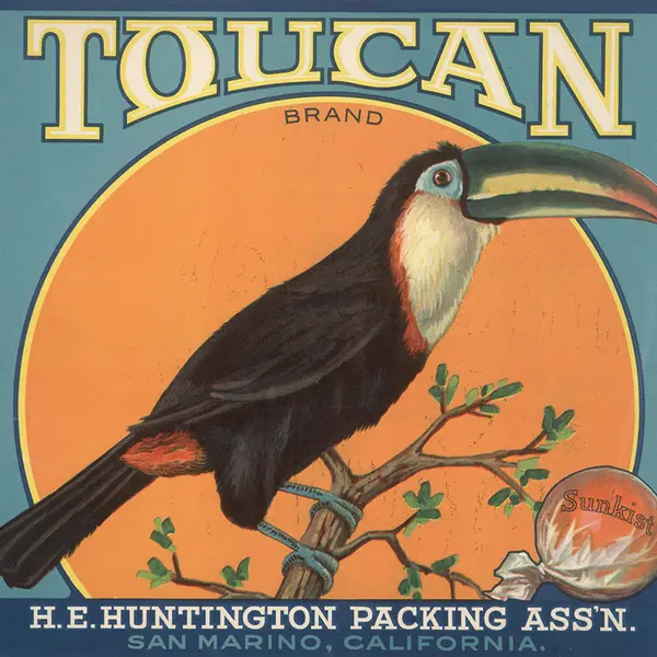 citrus crate label with a toucan