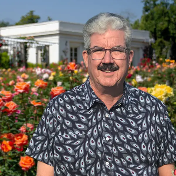 A person stands in a rose garden.