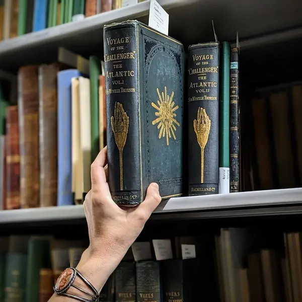 A hand reaches for a green, gold-gilded reference book on a library shelf.