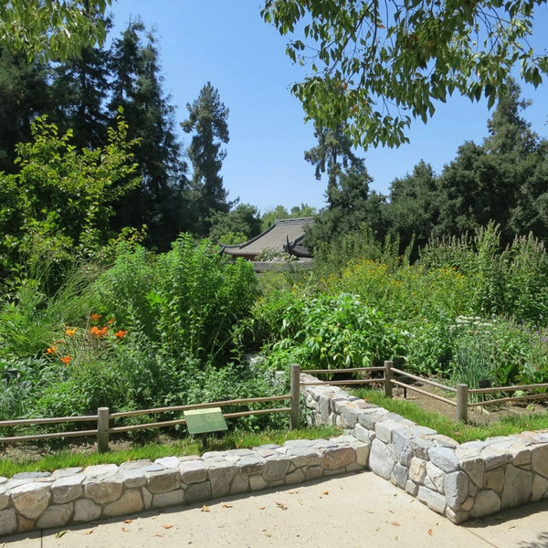 A Chinese-style garden with stone planter beds filled with green plants.