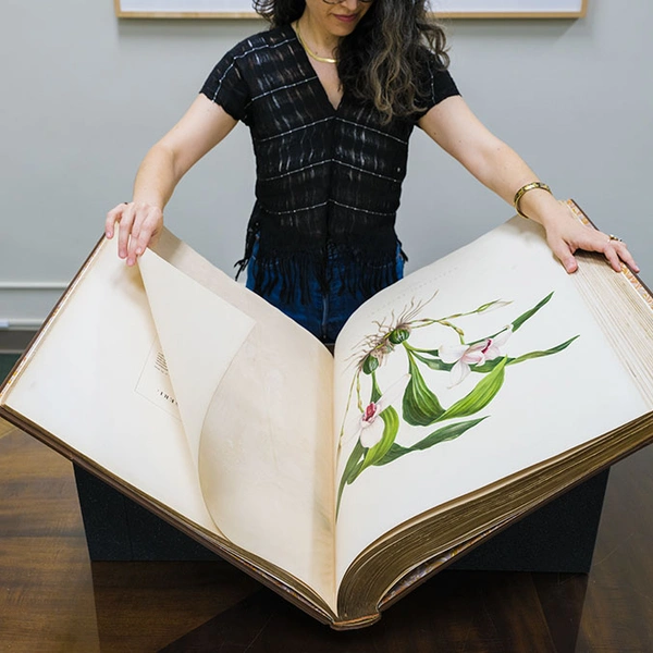 A person holds open an oversized book of orchid drawings.