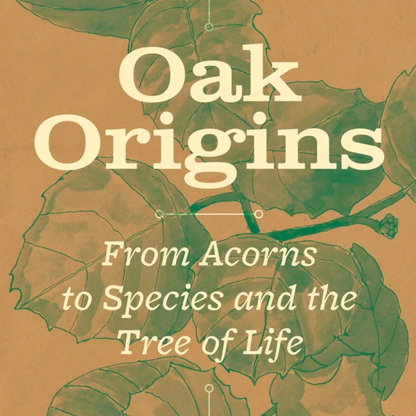 A tan book cover with a green close-up illustration of an oak tree and white text that reads "Andew L. Hipp / Oak Origins/ From Acorns to Species and the Tree of Life."