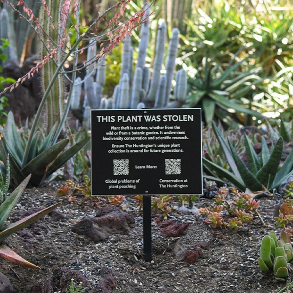 Desert Garden sign that says, “This Plant Was Stolen,” with QR codes for more info.