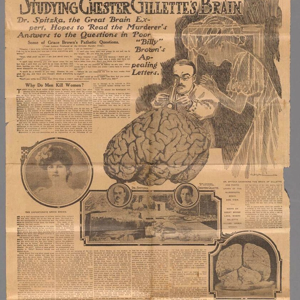 A full-page newspaper story titled “Studying Chester Gillette’s Brain” with accompanying drawings and photos.