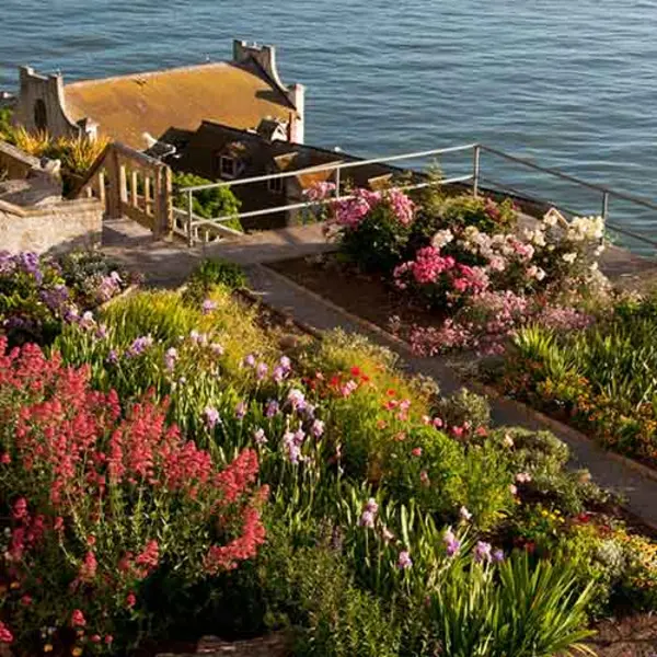 Garden at Alcatraz