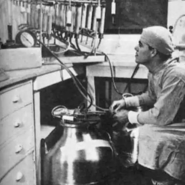Scientist inspecting vaccines in 1950s