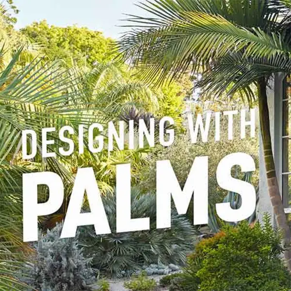 Cover of Designing with Palms