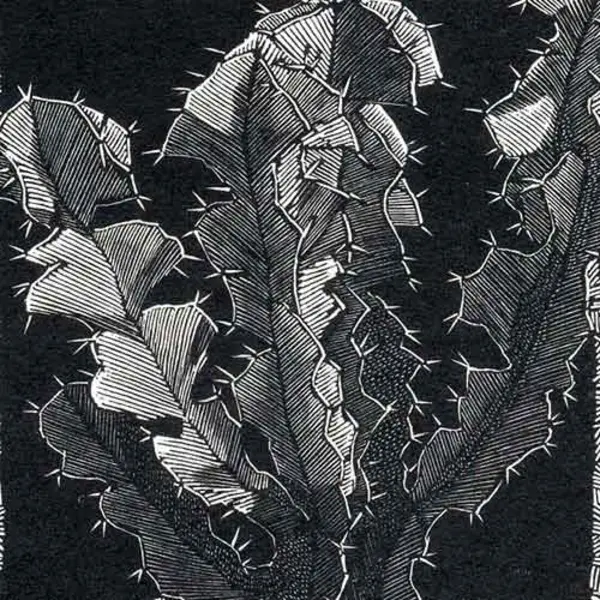 Wood print of a plant