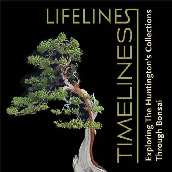 Lifelines/Timelines graphic