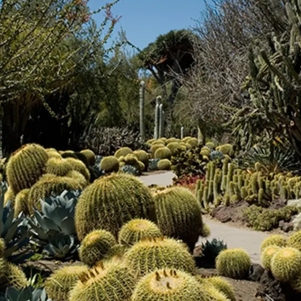 One Year of Membership at The Huntington Library, Art Collections, and Botanical Gardens plus a FREE set of handy garden tools. $153.95