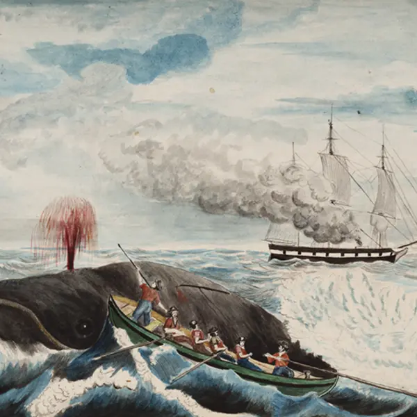 David E. Marshall (“Wicked Ned”), Right Whale, ca. 1851, watercolor.