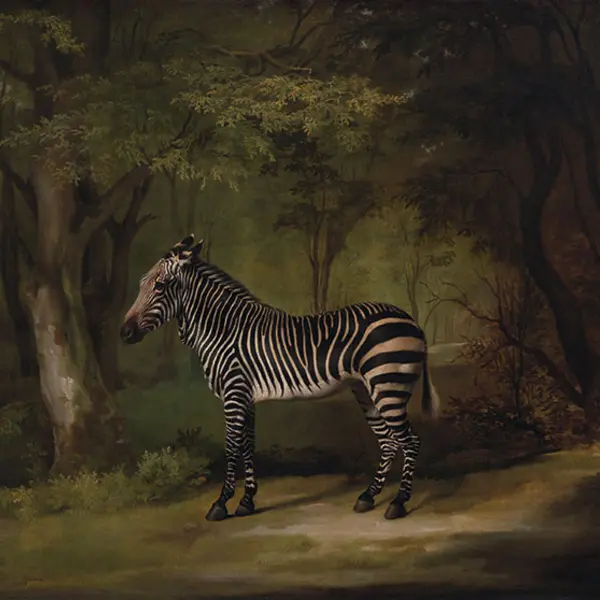 George Stubbs Zebra painting from 1763