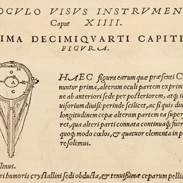 Detail of first cross-sectional image of the eye from Andreas Vesalius De humani corporis fabrica, 1543