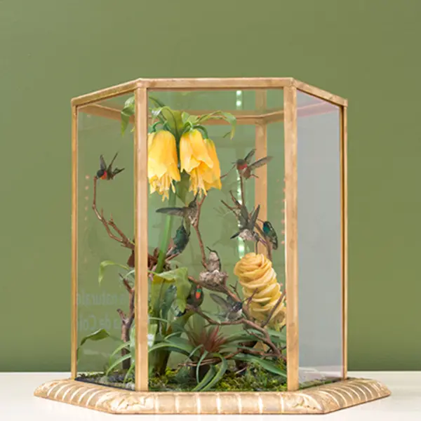 Taxidermist Allis Markham chose this lush, tropical flora based on an article that the novelist Charles Dickens wrote after seeing the original 1851 hummingbird cases.