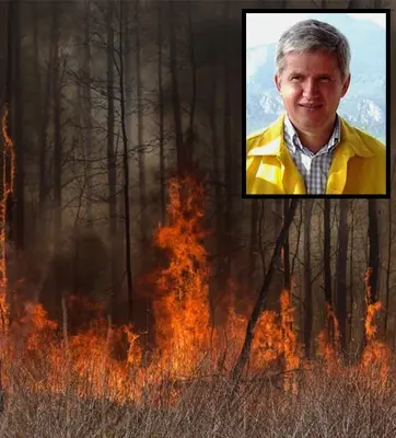 A forest on fire plus an inset photo of Professor Sergiy Zibtsez.