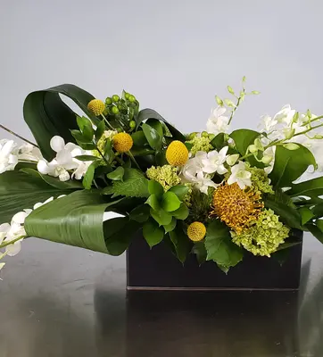 A tropical, winter flower arrangement.