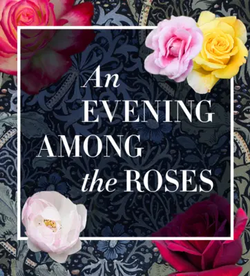 evening among the roses graphic brand