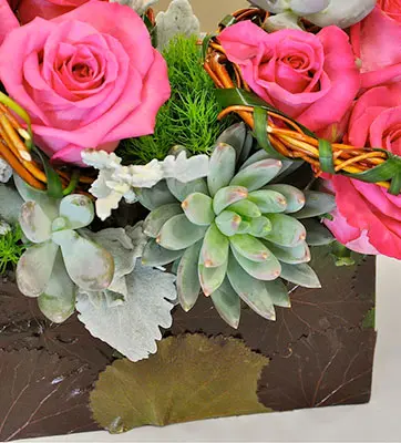 A small succulent sits among a collection of pink roses in a flower box arrangement.