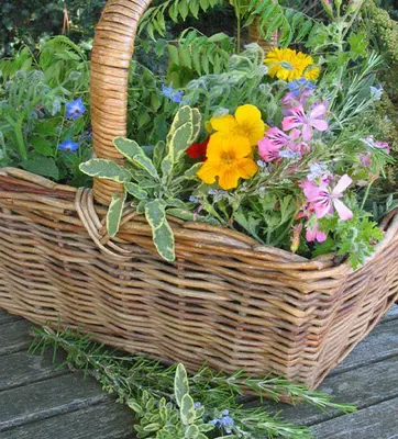 A basket of full of fresh herbs and flowers
