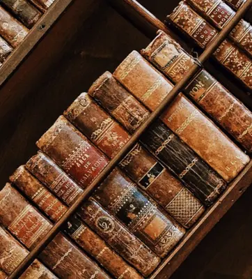 rare book spines on a shelf