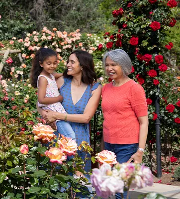 Two adults and a child in a blooming rose garden.