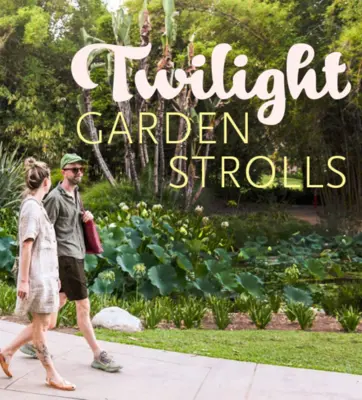 A couple walks in a garden, text reads "Twilight Garden Strolls."