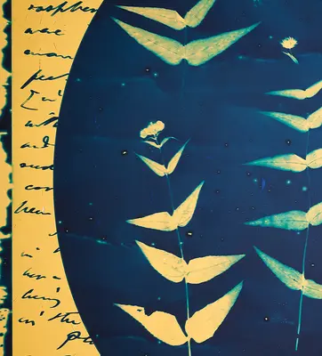 A cyanotype imprint of leaves over a handwritten letter.