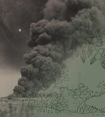 A composite image, on left of a photo of a person walking away from black smoke, and on right a green illustration of a fruit tree.