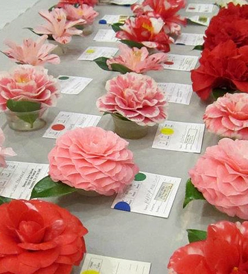 Rows of red and pink flowers on a table with paper labels.