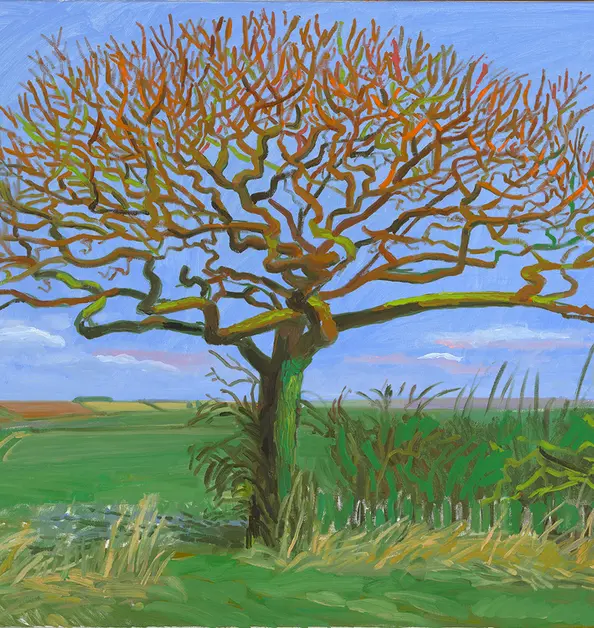 Painting of a bare tree, with many small branches, in a green field with a blue sky.