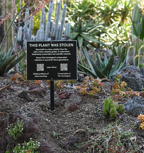 Desert Garden sign that says, “This Plant Was Stolen,” with QR codes for more info.