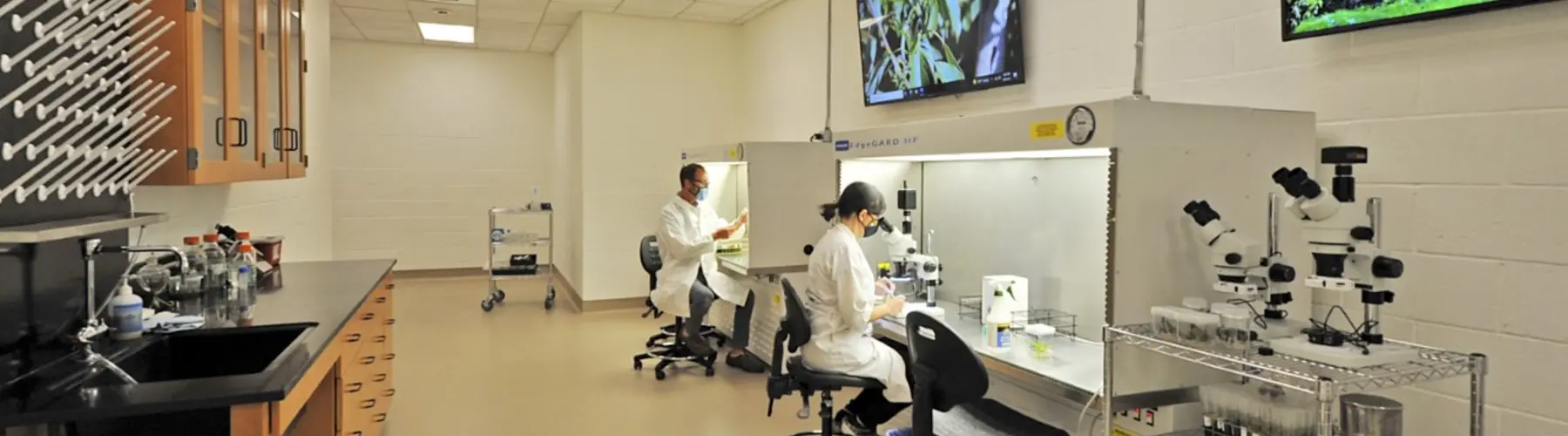 staff working in botanical research lab