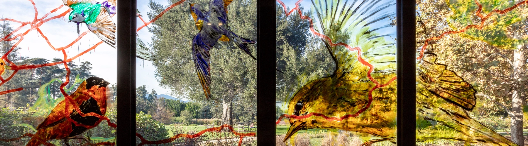 A painting on a glass window, looking out on a garden, depicting colorful birds and red lines.