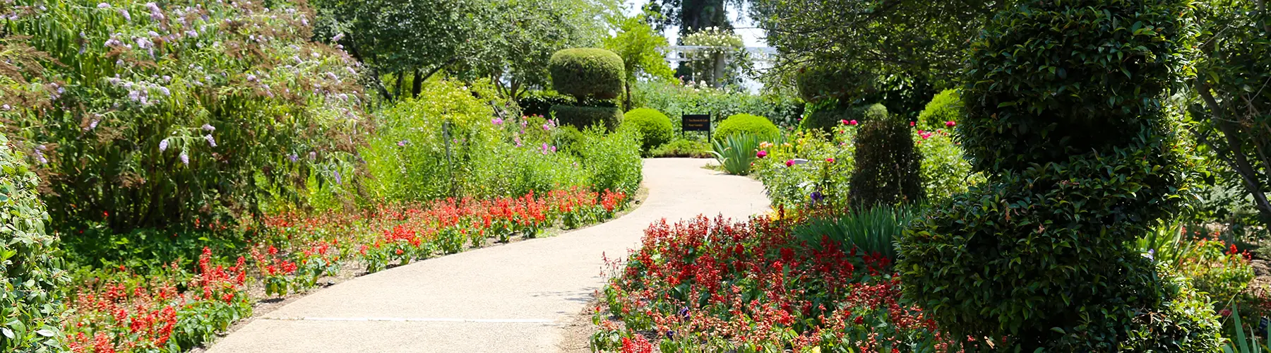 The Huntington is committed to accessibility for all visitors.